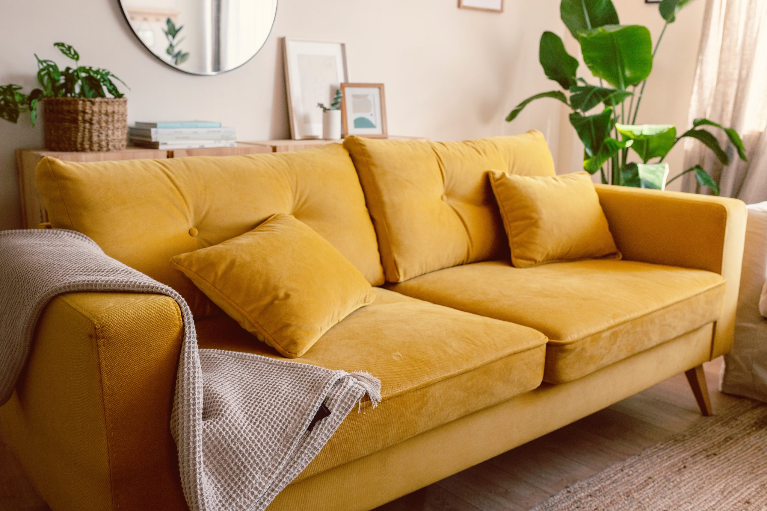 Yellow velvet couch in a warm, inviting therapy office setting
