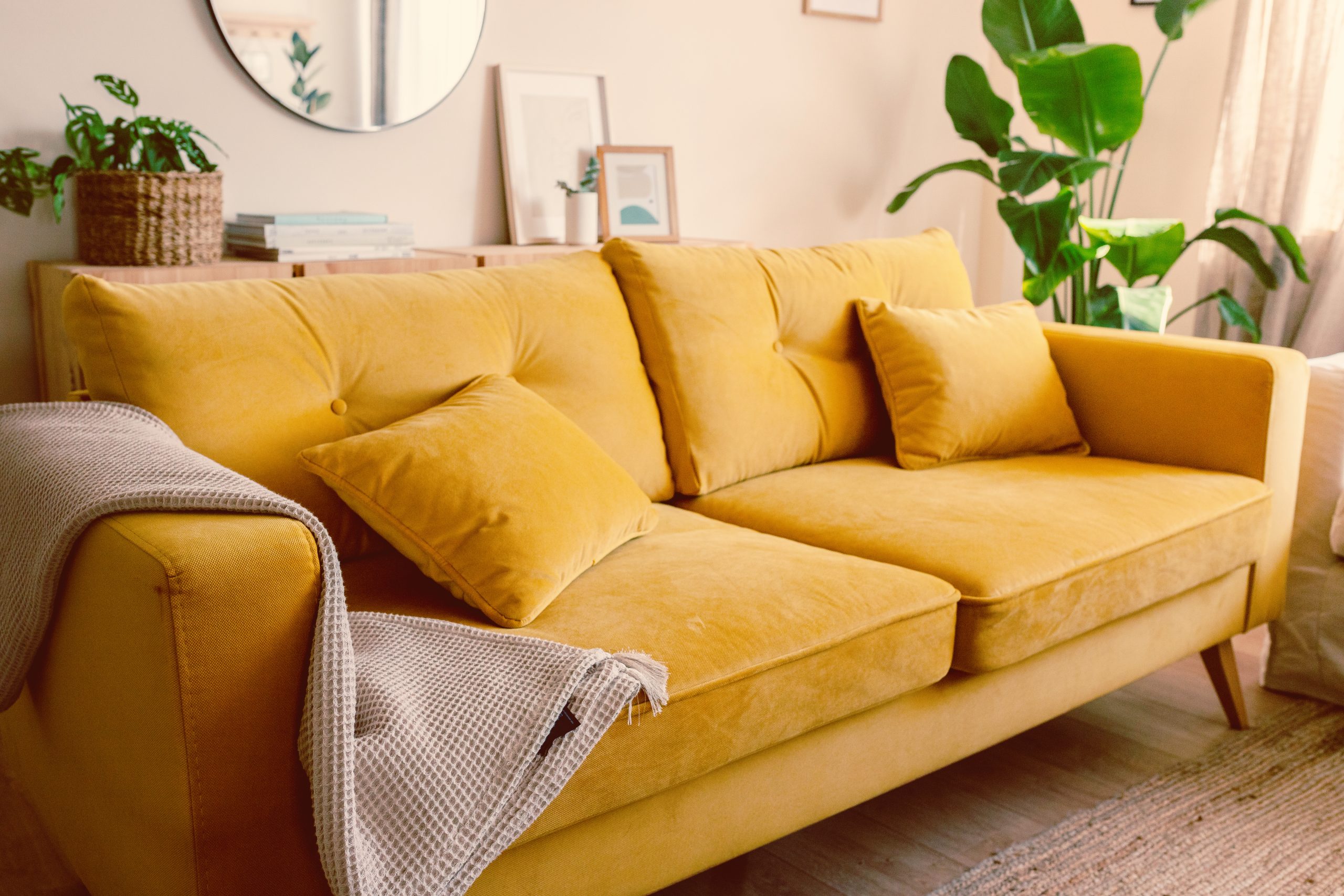 Comfortable couples therapy office in Dallas with a welcoming sofa, natural light, and calming décor designed to support relationship counseling and emotional connection.